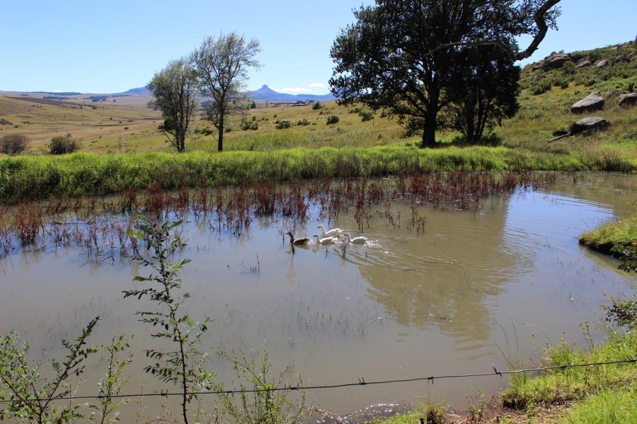 15 Bedroom Property for Sale in Harrismith Rural Free State